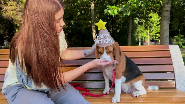 Woman celebrates her beagle dog's birthday and gives the pet a treat outdoors, joyful pet party, animal companionship, festive lifestyle.
