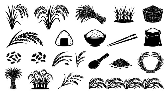 Rice Agriculture and Asian Food Silhouette Icon Set Featuring Paddy Ear Stalks Harvest Bundles Sacks Bowls Chopsticks and Onigiri Rice Ball Symbols