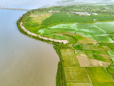 Aerial view of the Indus River flowing past lush green agricultural fields and rural landscape in Dera Ghazi Khan, Punjab, Pakistan.