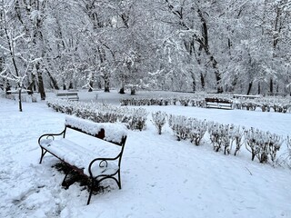 Bancos de madera cubiertos por una gruesa capa de nieve en un parque urbano totalmente blanco © GILPEDRO