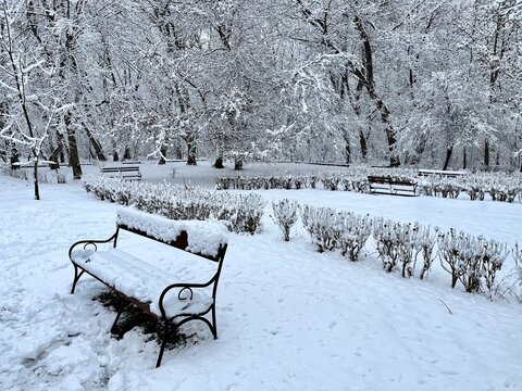 Bancos de madera cubiertos por una gruesa capa de nieve en un parque urbano totalmente blanco