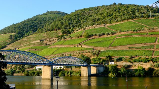 Beautiful Ponte do Pinh&atilde;o in the early morning by the Douro river