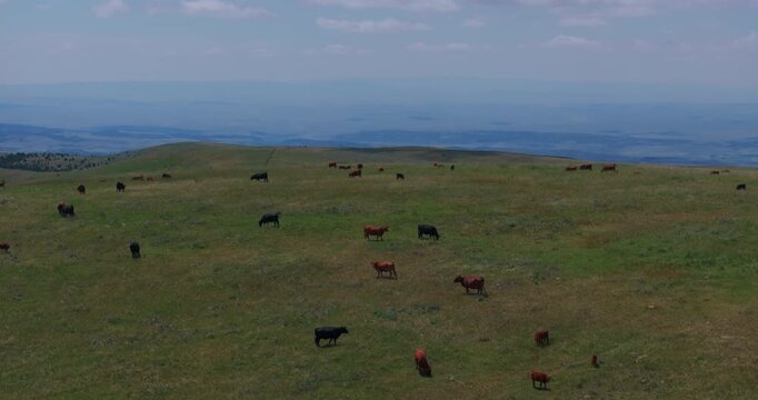 Beautiful cattle ranch landscape in Wyoming
