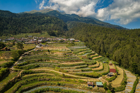 Aerial view of Dusun Cuntel village nestled among lush terraced agricultural fields on a mountainside with dense forests and mountain peaks in Getasan, Central Java, Indonesia.