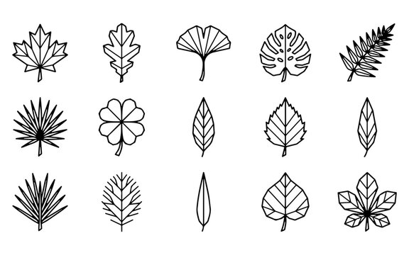 A collection of various geometric style tree leaf icons isolated on a white background for your creative design projects