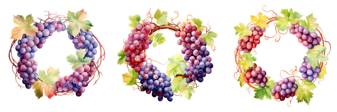 Watercolor grape wreaths with vines and leaves on black background for design elements