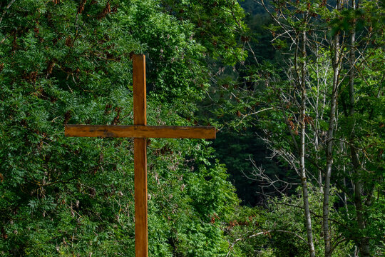 Wooden Christian Cross Surrounded by Green Forest in Bavaria