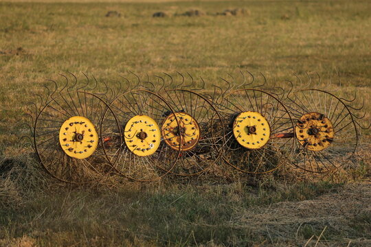 Five wheel hay rake in a mown field in warm evening light