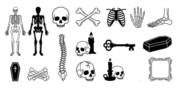 Collection of halloween spooky skeleton bones skulls and gothic elements isolated on transparent background silhouette