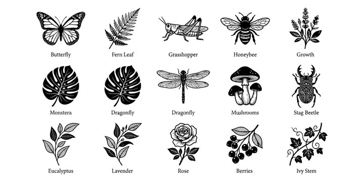 Set of various nature elements featuring botanical and insect icons as a black silhouette isolated on transparent background