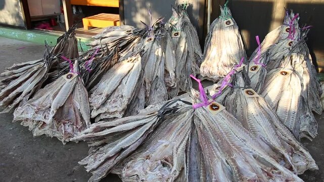 Korea Tongyeong Chudo island dried snailfish drying ocean coast seafood marine product 통영 추도 섬마을 물메기 미역어 꼼치 물곰 물텀벙 물잠뱅이 어업 통발 고기잡이 생선손질 말리기 건어물 덕장 해풍 건조 바닷가 어촌 수산물 반건조 생선 수산업 식재료