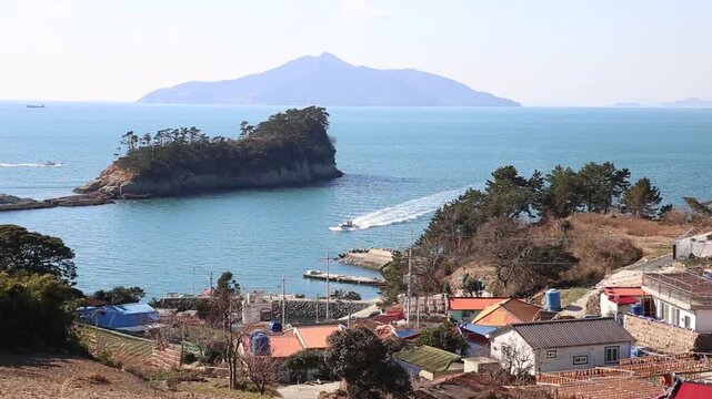Korea Tongyeong Chudo island dried snailfish drying ocean coast seafood marine product 통영 추도 섬마을 물메기 미역어 꼼치 물곰 물텀벙 물잠뱅이 어업 통발 고기잡이 생선손질 말리기 건어물 덕장 해풍 건조 바닷가 어촌 수산물 반건조 생선 수산업 식재료