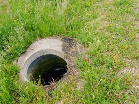 Concrete manhole surrounded by overgrown grass