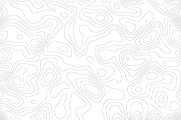 topographic line contour map background, geographic grid map, stock vector illustration © Philip