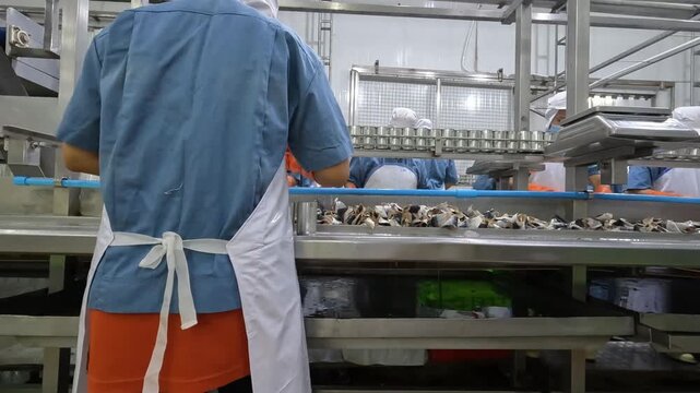 Workers process fish in a factory for canning in a busy production area