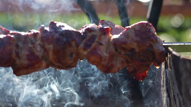 Juicy meat cooks on a metal skewer. Smoke curls around the sizzling meat. Charcoal glows beneath the skewer. Background shows blurred greenery. Use for food promotions or cooking tutorials