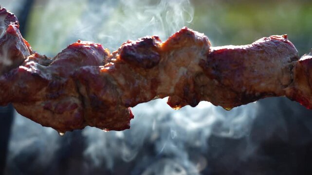 Juicy chunks of grilled meat glisten with smoke. Smoke rises softly from the hot skewer. Blurred grill flames create a warm backdrop. Ideal for food blogs or cooking tutorials