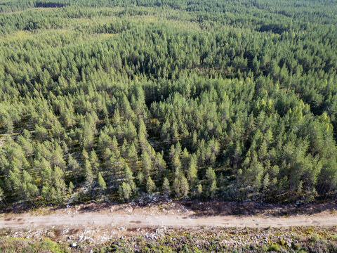 Aerial view of a dirt road bordering a dense coniferous forest in Tyrnava, North Ostrobothnia, Finland.