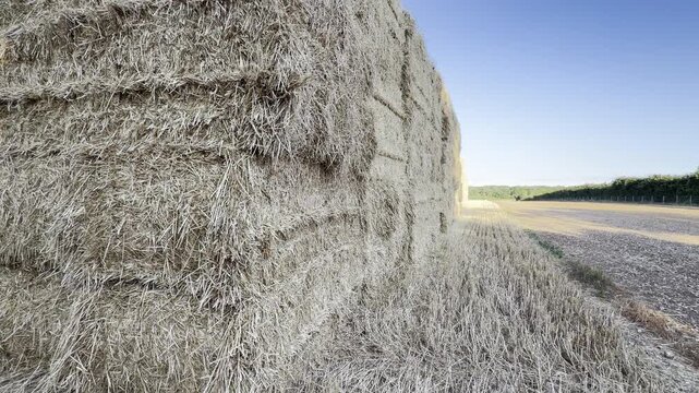 Dried hay bale textured surface close up