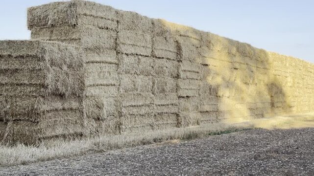 Rectangular hay bales stack farm structure panning