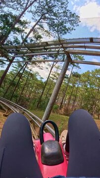 POV Alpine Coaster Ride Through Pine Forest, Dalat, Vietnam, Vertical Video