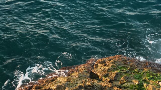Dark blue sea waves rippling next to rocky ledge covered with orange and green algae in sunlight