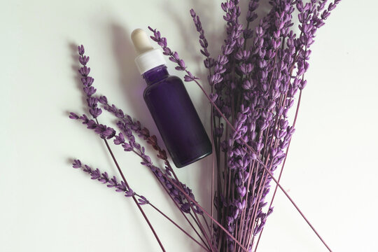 Lavender essential oil dropper bottle with dried purple flowers, promoting aromatherapy