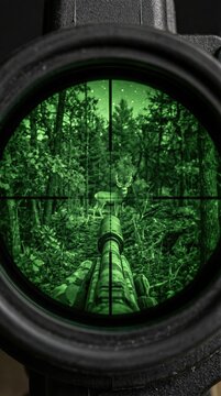 Male hunter looking through night vision scope at deer in forest. Aiming rifle with optics at wildlife in dark woods. Hunting sport equipment and modern infrared technology concept.