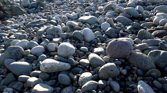 Zen stones and smooth river pebbles scattered in nature form a calm natural pattern.