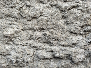 Roughcast concrete wall texture background with heavy cement render plaster finish. Grey rustic stucco surface. © Oleksandr