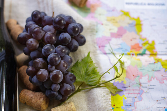Craft red wine bottle with fresh dark grapes and corks on Moldova map background