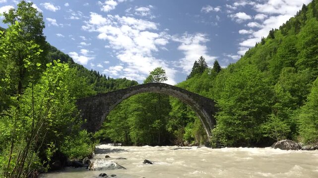 Timelapse shows historic stone arch bridge above a river flowing through dense spring forest.
