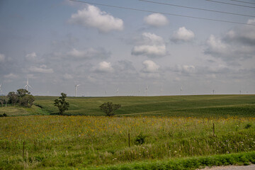 Fototapeta premium iowa countryside