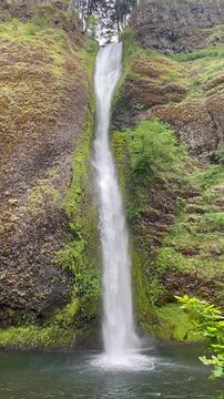 Horsetail Fall vertical - Columbia River Gorge, Oregon