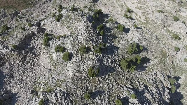 Aerial view of sparsely wooded stony rocky mountain slopes showing rugged natural terrain.