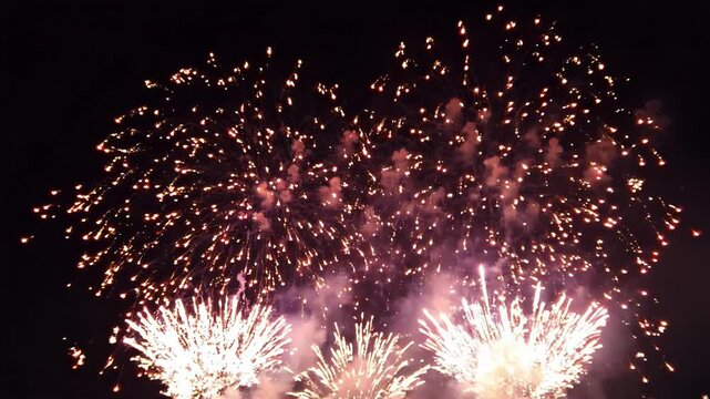 Vibrant pink and purple fireworks exploding in the dark night sky during a festive celebration