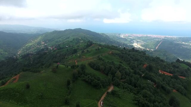 Aerial view of lush green tea fields covering rolling hills in humid subtropical mountain climate.