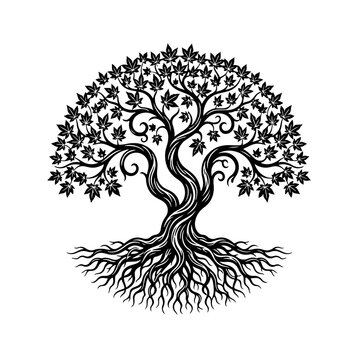 Japanese maple tree of life vector illustration with deep roots