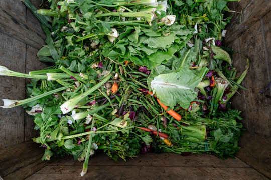 Vegetable scraps and trimmings ready for composting