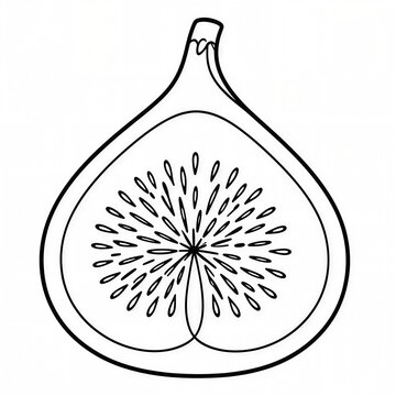 Fig Fruit