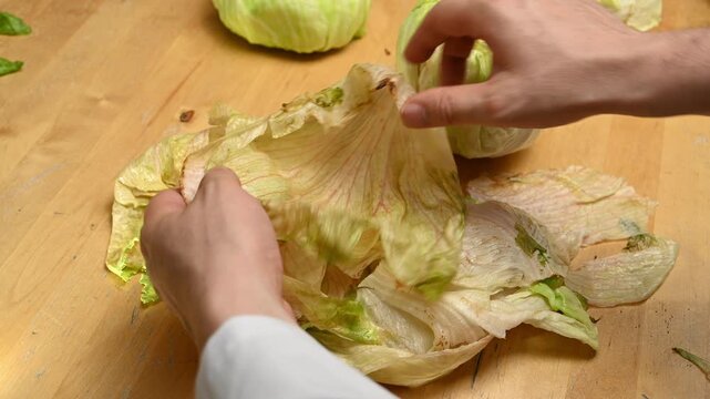 Hands Removing Outer Leaves from Iceberg Lettuce