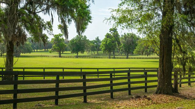 Black equine fences around green pastures along a scenic road in horse country in Ocala, Florida, on a sunny morning in spring. Motifs of countryside, travel, and tradition. Roadside view.