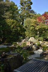 Fototapeta premium 妙心寺塔頭 秋の退蔵院 元信の庭(京都市右京区)