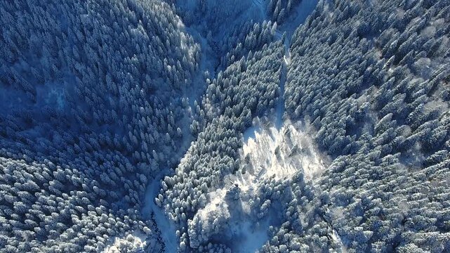 Aerial winter valleys across snowy pine forests within remote Russian mountain landscape.