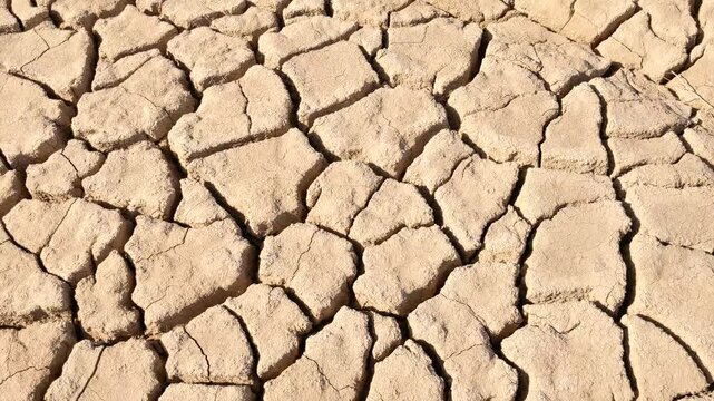 Cracked dry mud texture showing drought and soil erosion
