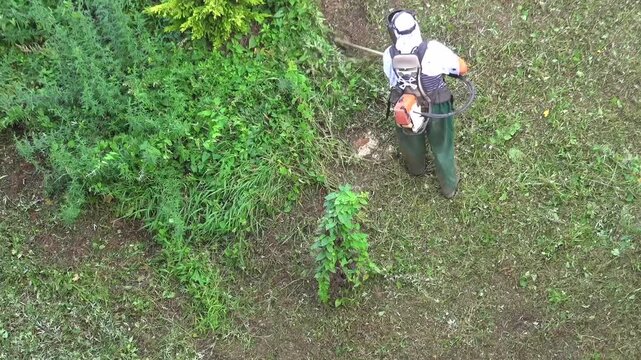 Gardener trimming grass with string trimmer on lush green outdoor garden slope area.