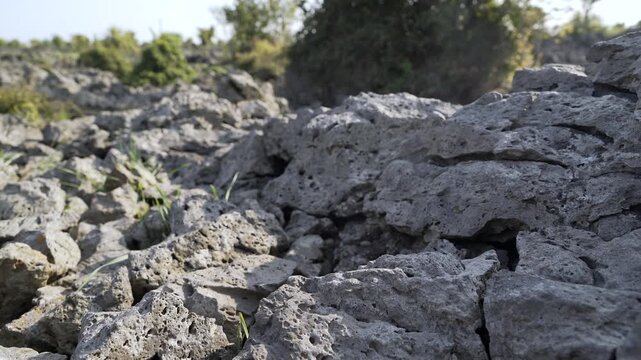 Porous basalt lava rocks form rugged volcanic texture in solidified natural landscape.