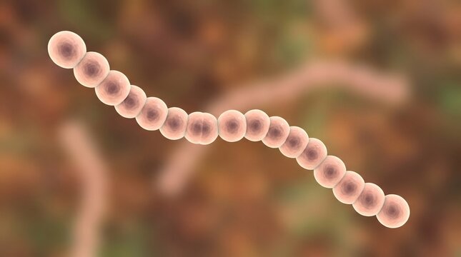 3D render of Streptococcus bacteria chain on blurred background
