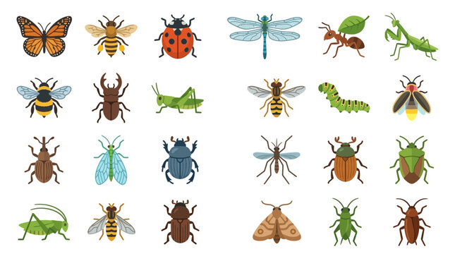 Collection of Diverse Insects and Bugs