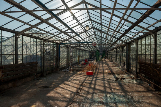 Abandoned old industrial glass greenhouse with dry dead plants and withered crops